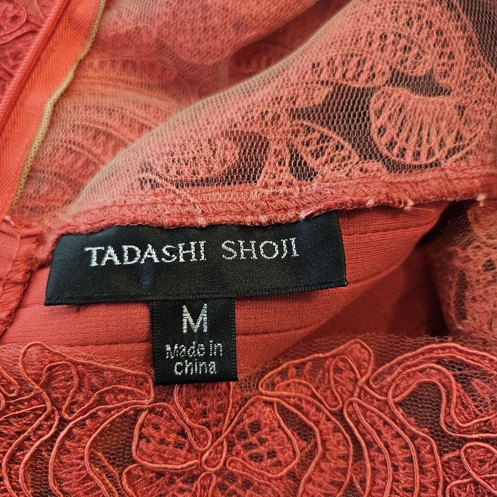 Tadashi Shoji Corded Embroidery on Tulle Pintuck Boatneck Dress M - Picture 7 of 9